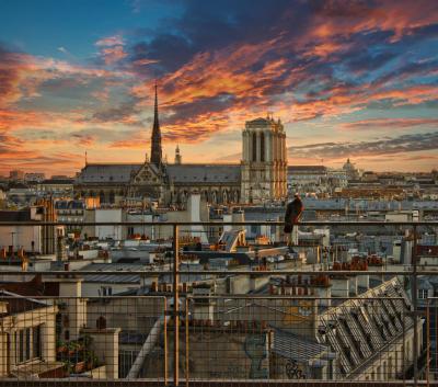 Powerling proud to be part of the renovation of Notre-Dame de Paris