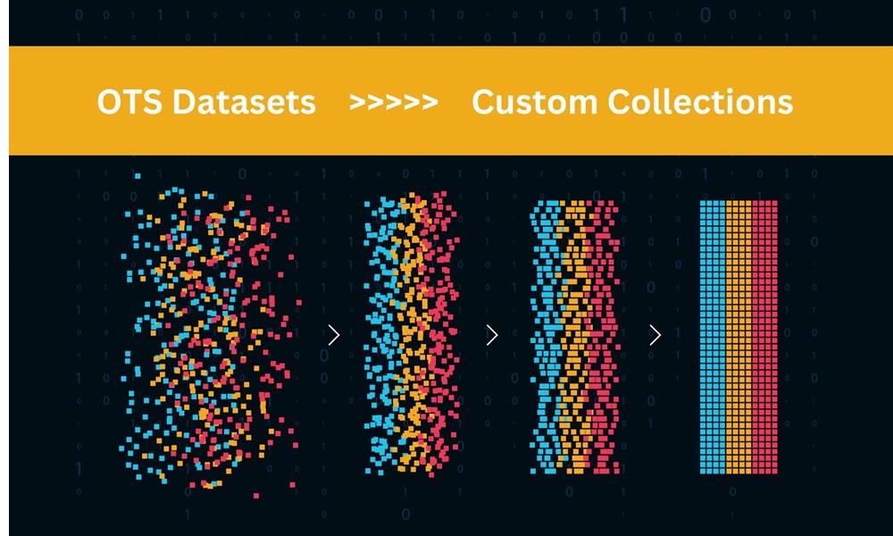 Off-the-Shelf vs. Custom Conversational Datasets: A Comparative Analysis