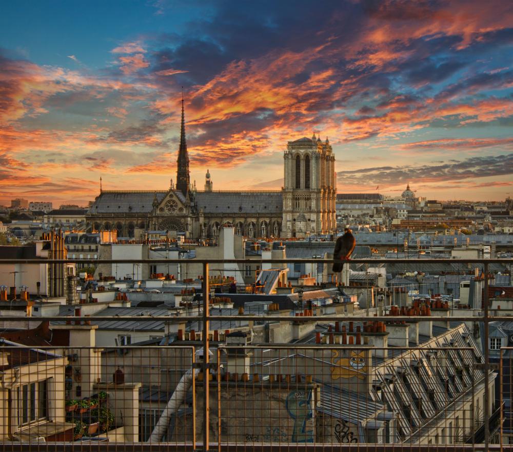 Powerling trots op bijdrage aan herbouw van Notre-Dame